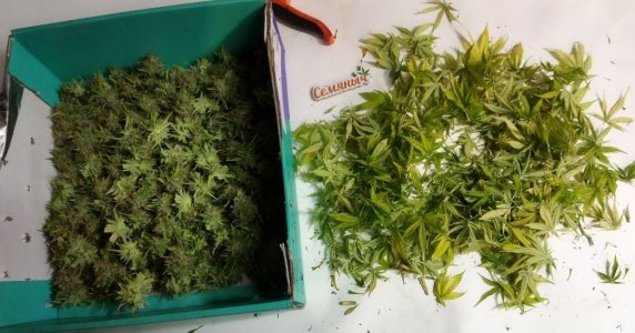 Screenshot_2023-05-04-22-54-11-104_com.miui.gallery-edit.jpg Screenshot_2023-05-04-22-54-11-104_com.miui.gallery-edit.jpg