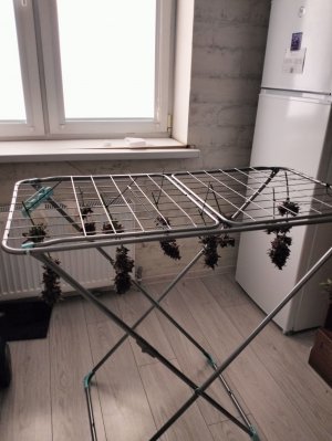 IMG20230510165004.jpg IMG20230510165004.jpg