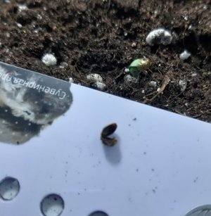 20230512_105635.jpg 20230512_105635.jpg