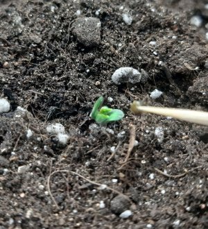 20230512_105529.jpg 20230512_105529.jpg