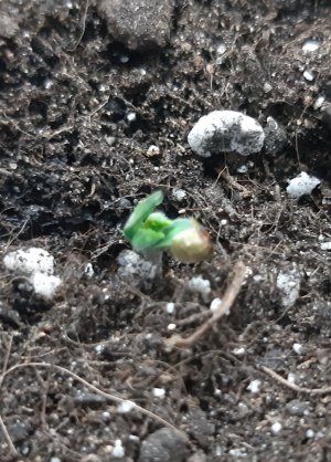 20230425_155854.jpg 20230425_155854.jpg