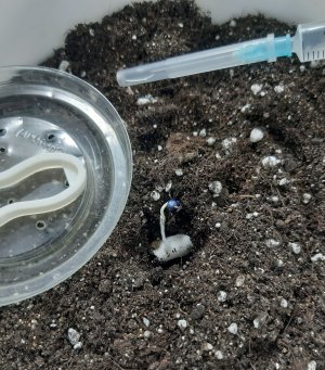 20230512_130216.jpg 20230512_130216.jpg