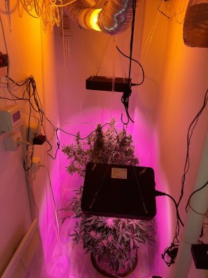 20230513_104718.jpg 20230513_104718.jpg