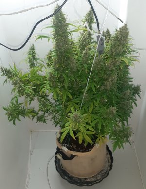 20230514_103047.jpg 20230514_103047.jpg