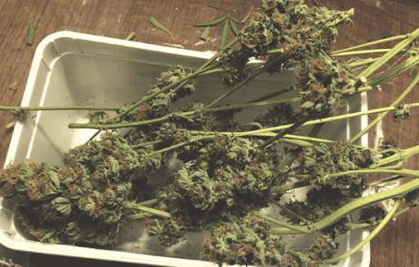 1684090904595.png 1684090904595.png