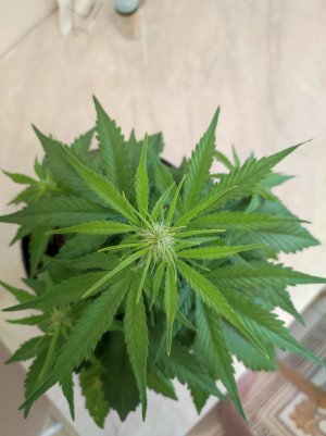 IMG_20230516_075646.jpg IMG_20230516_075646.jpg