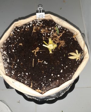 20230517_154325.jpg 20230517_154325.jpg