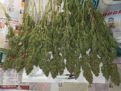 20230517_154804.jpg 20230517_154804.jpg