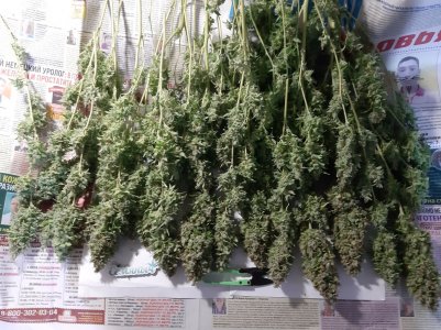 20230517_154739.jpg 20230517_154739.jpg