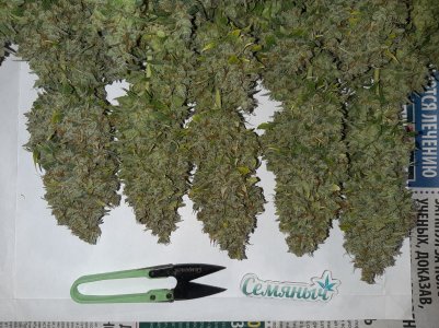 20230517_154549.jpg 20230517_154549.jpg