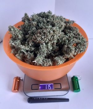 20230518_175621.jpg 20230518_175621.jpg