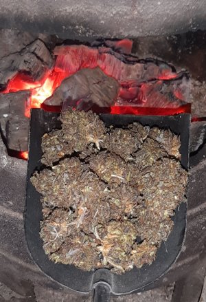 20221015_155128.jpg 20221015_155128.jpg