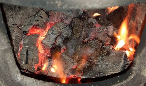 20230518_195527.jpg 20230518_195527.jpg