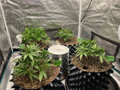 4559168B-3C8D-4014-8BAE-9E69193E19D9.jpeg 4559168B-3C8D-4014-8BAE-9E69193E19D9.jpeg