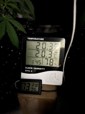 D1714B4A-2E44-45AF-BE57-8C29CD997DAE.jpeg D1714B4A-2E44-45AF-BE57-8C29CD997DAE.jpeg