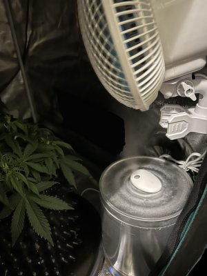 EB6B42EE-45D7-4E5A-84C4-2075B52008D3.jpeg EB6B42EE-45D7-4E5A-84C4-2075B52008D3.jpeg