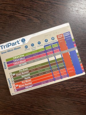 IMG_4877.jpeg IMG_4877.jpeg