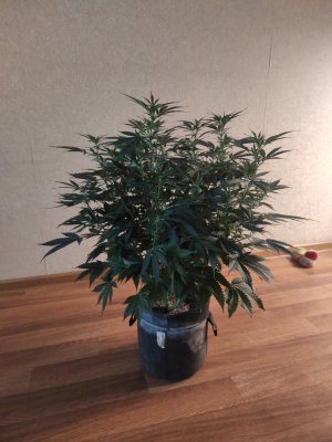 2023-06-04-14-01-02-863.jpg 2023-06-04-14-01-02-863.jpg