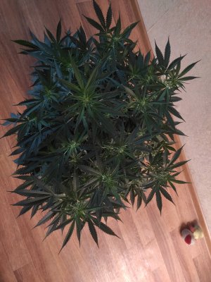 2023-06-04-14-00-40-195.jpg 2023-06-04-14-00-40-195.jpg