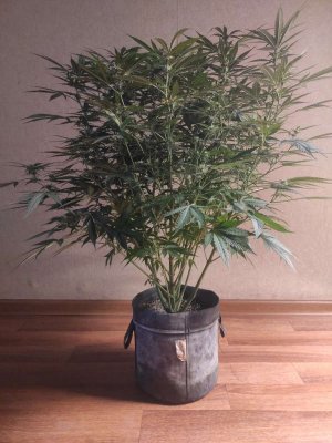 2023-06-14-15-37-25-398.jpg 2023-06-14-15-37-25-398.jpg