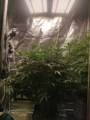 2023-06-14-15-40-55-823.jpg 2023-06-14-15-40-55-823.jpg