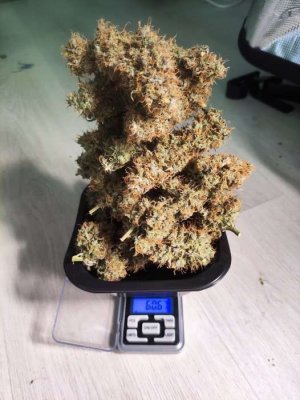 MVIMG_20230604_144110.jpg MVIMG_20230604_144110.jpg