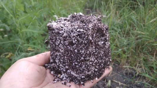 IMG_20230620_202005 .jpg