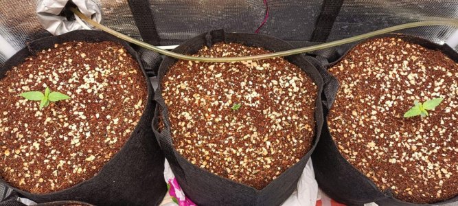 WhatsApp Image 2023-06-23 at 11.26.25 (1).jpeg