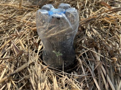 D65AA9C1-B026-4B1E-9B9F-B0A5D8D132FE.jpeg D65AA9C1-B026-4B1E-9B9F-B0A5D8D132FE.jpeg