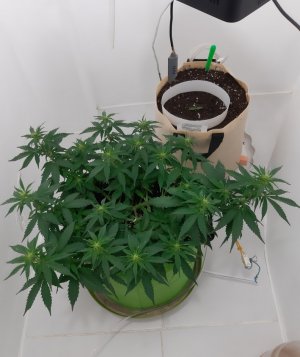 20230628_171831.jpg 20230628_171831.jpg