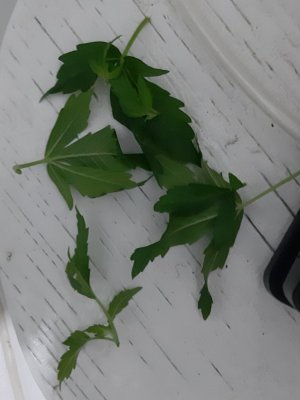 20230628_193559.jpg 20230628_193559.jpg