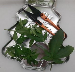 20230628_193538.jpg 20230628_193538.jpg