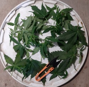 20230628_193423.jpg 20230628_193423.jpg