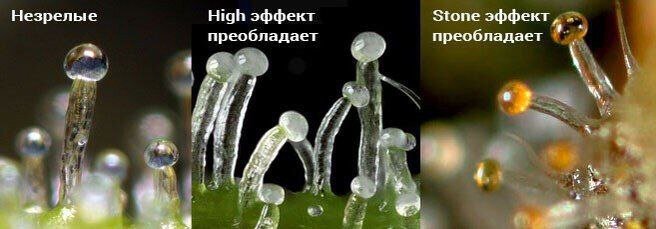 IMG_20230629_165922_378.jpg IMG_20230629_165922_378.jpg