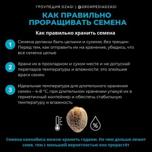 IMG_20230629_165919_236.jpg IMG_20230629_165919_236.jpg