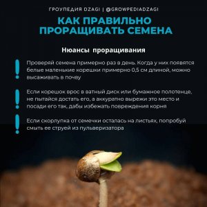 IMG_20230629_165916_967.jpg IMG_20230629_165916_967.jpg