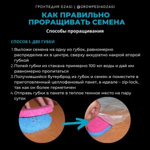 IMG_20230629_165914_297.jpg IMG_20230629_165914_297.jpg