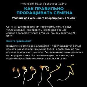 IMG_20230629_165905_349.jpg IMG_20230629_165905_349.jpg