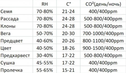 IMG_20230629_165822_036.jpg IMG_20230629_165822_036.jpg