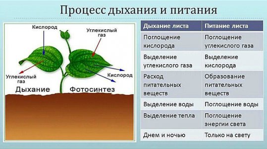 IMG_20230629_165701_641.jpg IMG_20230629_165701_641.jpg