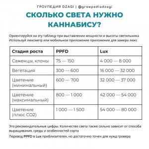 IMG_20230626_165730_792.jpg IMG_20230626_165730_792.jpg