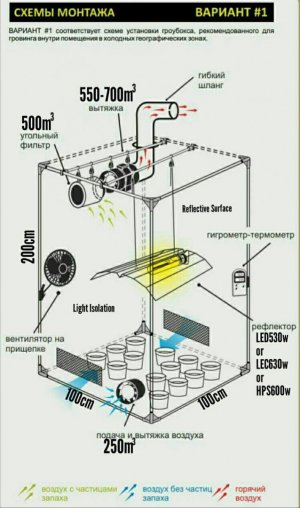 IMG_20230629_171711_565.jpg IMG_20230629_171711_565.jpg