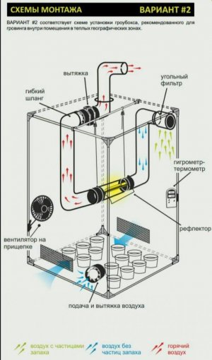 IMG_20230629_171708_334.jpg IMG_20230629_171708_334.jpg