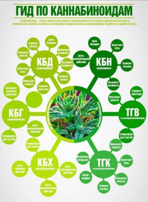 IMG_20230629_171521_780.jpg IMG_20230629_171521_780.jpg