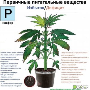 IMG_20230629_171447_862.jpg IMG_20230629_171447_862.jpg