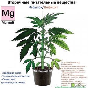 IMG_20230629_171433_039.jpg IMG_20230629_171433_039.jpg