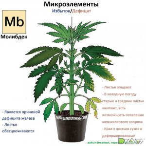 IMG_20230629_171429_754.jpg IMG_20230629_171429_754.jpg