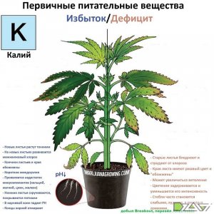 IMG_20230629_171444_121.jpg IMG_20230629_171444_121.jpg