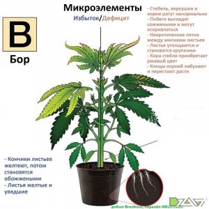 IMG_20230629_171419_719.jpg IMG_20230629_171419_719.jpg