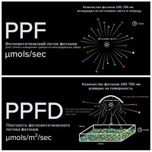 IMG_20230629_174120_913.jpg IMG_20230629_174120_913.jpg